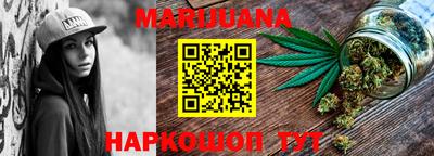крисы Можга