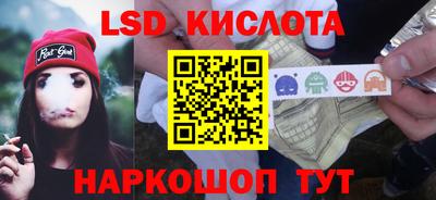 крисы Можга