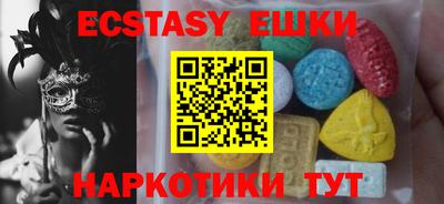 крисы Можга