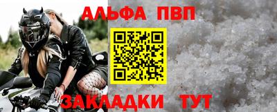 крисы Можга