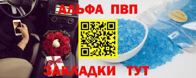 крисы Можга