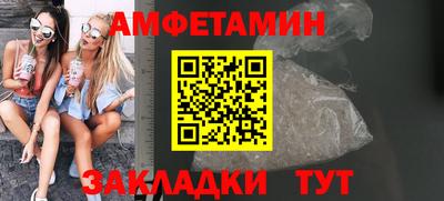 крисы Можга