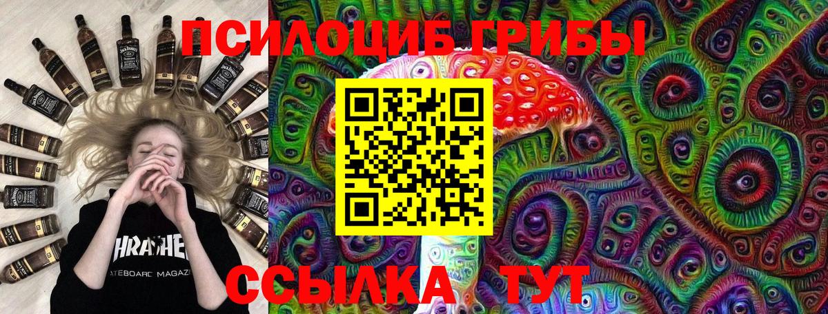 Псилоцибиновые грибы Psilocybe Черняховск