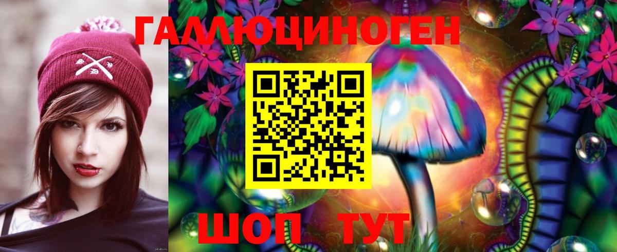 Псилоцибиновые грибы Psilocybe  Вход с VPN  Черняховск 